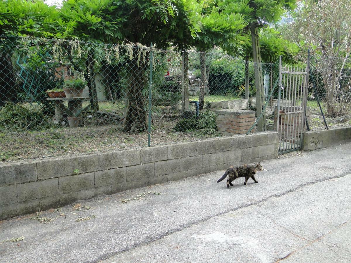 Via Del Toppo, 4 Perugia Kültér fotó